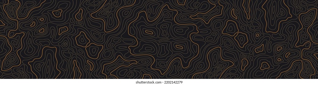 wide and narrow topographic map on a black background with bright lines