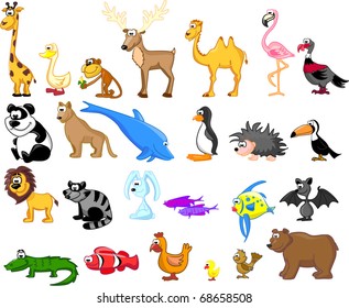 wide range of animals