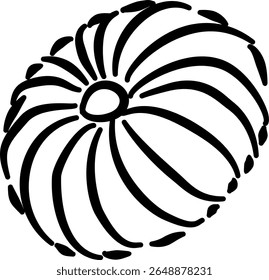 Wide seashell sketch for natural-themed packaging posters coastal label designVector illustration