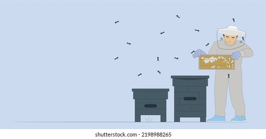 Wide shot of a beekeeper holding the beehive frame filled with honey. Beekeeper working collect honey. Beekeeping concept. vector illustration