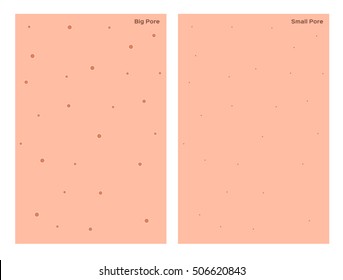 wide and small hair follicle , pore . skin vector