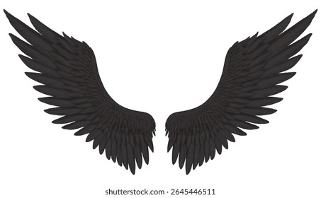 Wide spread black wings - image of fallen angel or devil