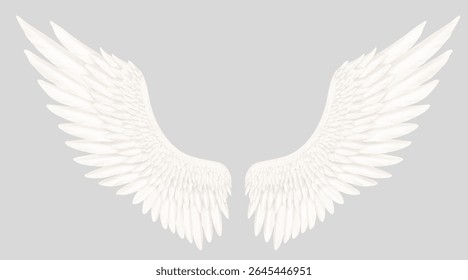 
Wide spread white wings - Image of an angel or goddess