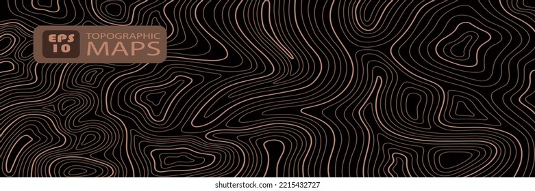 wide topographic map on a dark background with brown lines