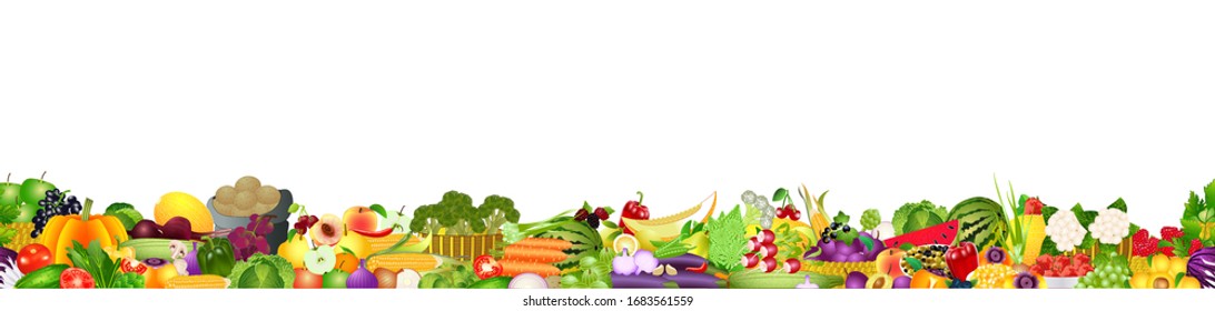 Wide vector collage of fresh fruits and vegetables for layout, isolated on white background. Copy space