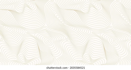 Wide Vector Golden Background Gold Lines Stock Vector (Royalty Free ...