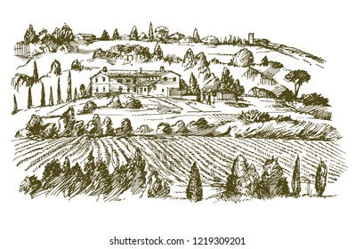 Wide view of vineyard. Vineyard landscape panorama. Hand drawn illustration.
