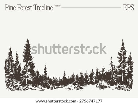 A wide-format hand-drawn sketch of a dense pine forest treeline with varied tree heights and low shrubs in the foreground, set against an open light sky, rendered in detailed vintage engraving style — ideal as a banner or border element.