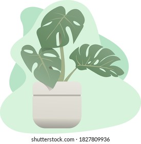 la viuda deja mínimos planos en fondo líquido. planta plana, plan abstracto