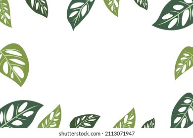 The widow's perforated monstera background vector illustration design is suitable for background illustration