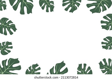 The widow's perforated monstera background vector illustration design is suitable for background illustration