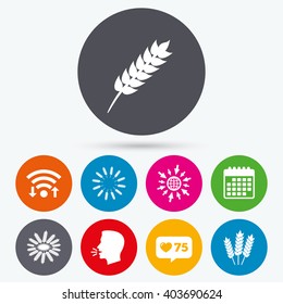 Wifi, like counter and calendar icons. Agricultural icons. Gluten free or No gluten signs. Wreath of Wheat corn symbol. Human talk, go to web.