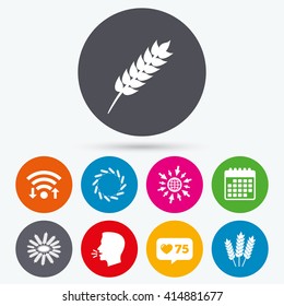 Wifi, like counter and calendar icons. Agricultural icons. Gluten free or No gluten signs. Wreath of Wheat corn symbol. Human talk, go to web.