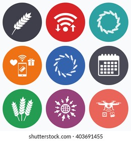 Wifi, mobile payments and drones icons. Agricultural icons. Gluten free or No gluten signs. Wreath of Wheat corn symbol. Calendar symbol.