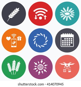 Wifi, mobile payments and drones icons. Agricultural icons. Gluten free or No gluten signs. Wreath of Wheat corn symbol. Calendar symbol.