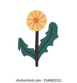 Wild abstract dandelion plant hand drawn. Vector art doodle naive cute nature clipart