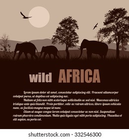 Wild Africa poster. Elephants silhouettes on retro style with space for your text, vector illustration