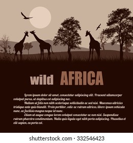 Wild Africa poster. Giraffes silhouettes on on retro style with space for your text, vector illustration