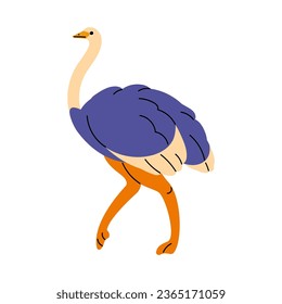Wild African animal. Big bird with strong legs, long neck, bright feather. Fast ostrich walking. Cute savannah habitant. Exotic fauna flat isolated vector illustration on white background