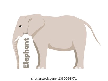 Wild African animal. Colorful sticker with large elephant with trunk, ears and tusks. Herbivorous mammal from jungle or savannah. Cartoon flat vector illustration isolated on white background