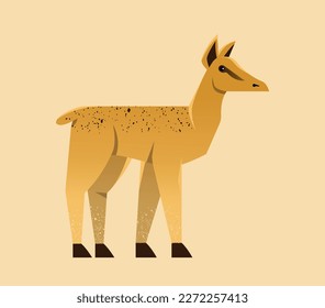 Wild African animal. Cute little roe deer or antelope inhabiting savanna or jungle. Herbivore mammal in zoo. Cartoon flat vector illustration isolated on beige background