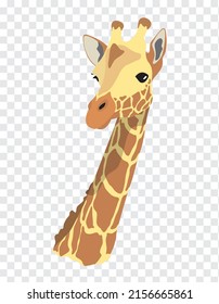 Wild African animal giraffe. Portrait, head, logo, icon, avatar, element, symbol. Isolated vector illustration on a transparent background