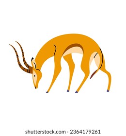 Wild african animal. Graceful gazelle grazing, elegant antelope standing. Impala with long horns. Herbivore savanna habitant. Savannah fauna flat isolated vector illustration on white background