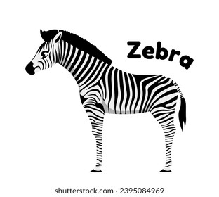 Wild African animal. Sticker or icon with striped black and white zebra. Inhabitant of savannah, jungle or safari. Herbivore mammal. Cartoon flat vector illustration isolated on white background