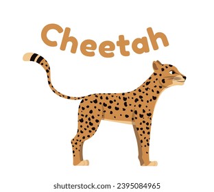 Wild African animal. Sticker of spotted fast cheetah or leopard. Icon with dangerous predatory mammal inhabitant of jungle or savannah. Cartoon flat vector illustration isolated on white background