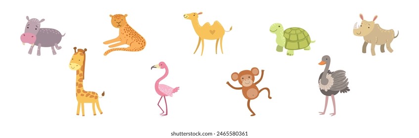 Wild African Animal and Zoo Beast Vector Set
