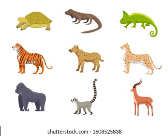 Wild African animals flat vector illustrations set. Antelope, lion, leopard savannah mammals isolated cliparts pack. Africa desert varanus, hyena, turtle design elements. Exotic rainforest fauna