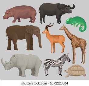 Wild african animals set, hippopotamus, hippopotamus, chameleon, elephant, antelope, giraffe, rhinoceros, turtle, buffalo, zebra vector Illustrations