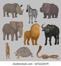 Wild african animals set, hippopotamus, elephant, giraffe, rhinoceros, turtle, buffalo, zebra, lion, snake vector Illustrations