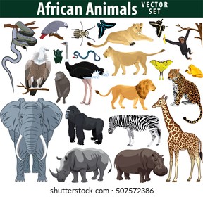 Wild african animals set with zebra ostrich lion rhinoceros hippo snake leopard vulture parrot gorilla butterflies giraffe frog isolated vector illustration