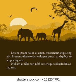 Wild african animals silhouettes in beautiful sunset design with space for your text, vector illustration