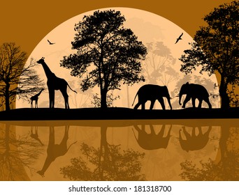 Wild african animals silhouettes in beautiful sunset near water, vector illustration