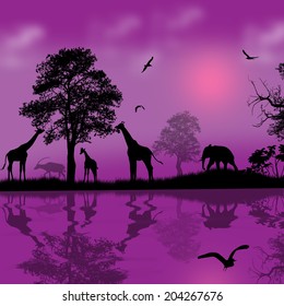 Wild african animals silhouettes in beautiful sunset near water, vector illustration