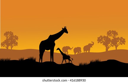 Wild african animals silhouettes in beautiful sunset