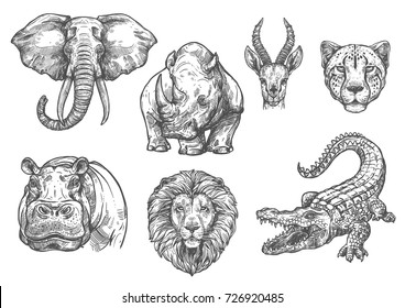 Wild African animals sketch icons. Vector isolated set of elephant, hippopotamus or rhinoceros, lion or alligator crocodile and tiger cheetah for safari adventure or welcome to wildlife zoo design