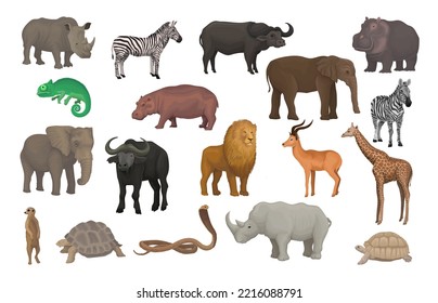 Wild African Animals as South Native Fauna and Wildlife Species Vector Set