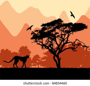 wild african animals, vector