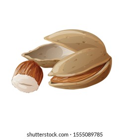 Wild almonds icon. Cartoon of wild almonds vector icon for web design isolated on white background