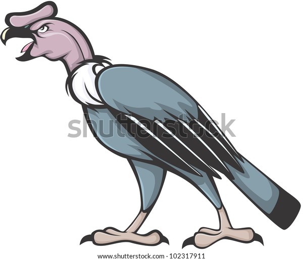 Wild Andean Condor Illustration Stock Vector (Royalty Free) 102317911 ...