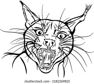 Wild angry cat portrait vector illustrations, isolated 