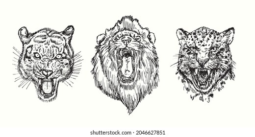 656 Growling panther Images, Stock Photos & Vectors | Shutterstock