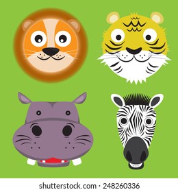 wild animal 
