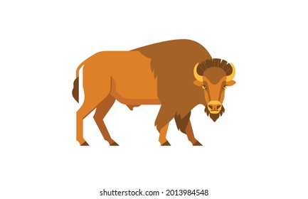 Wild animal American Bison (Bison bison) side angle view, flat style vector illustration isolated on white background