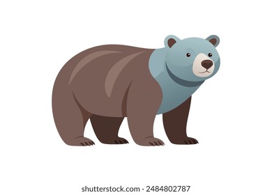 
Wild animal bear vector image illustration 