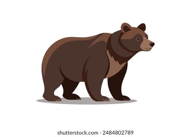 
Wild animal bear vector image illustration 