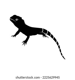 Wild animal bearded dragons icon | Black Vector illustration |